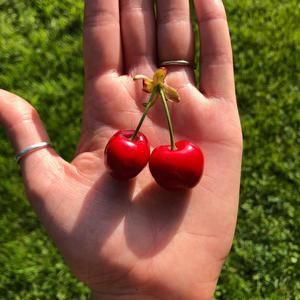 Meet your Posher, Cherie